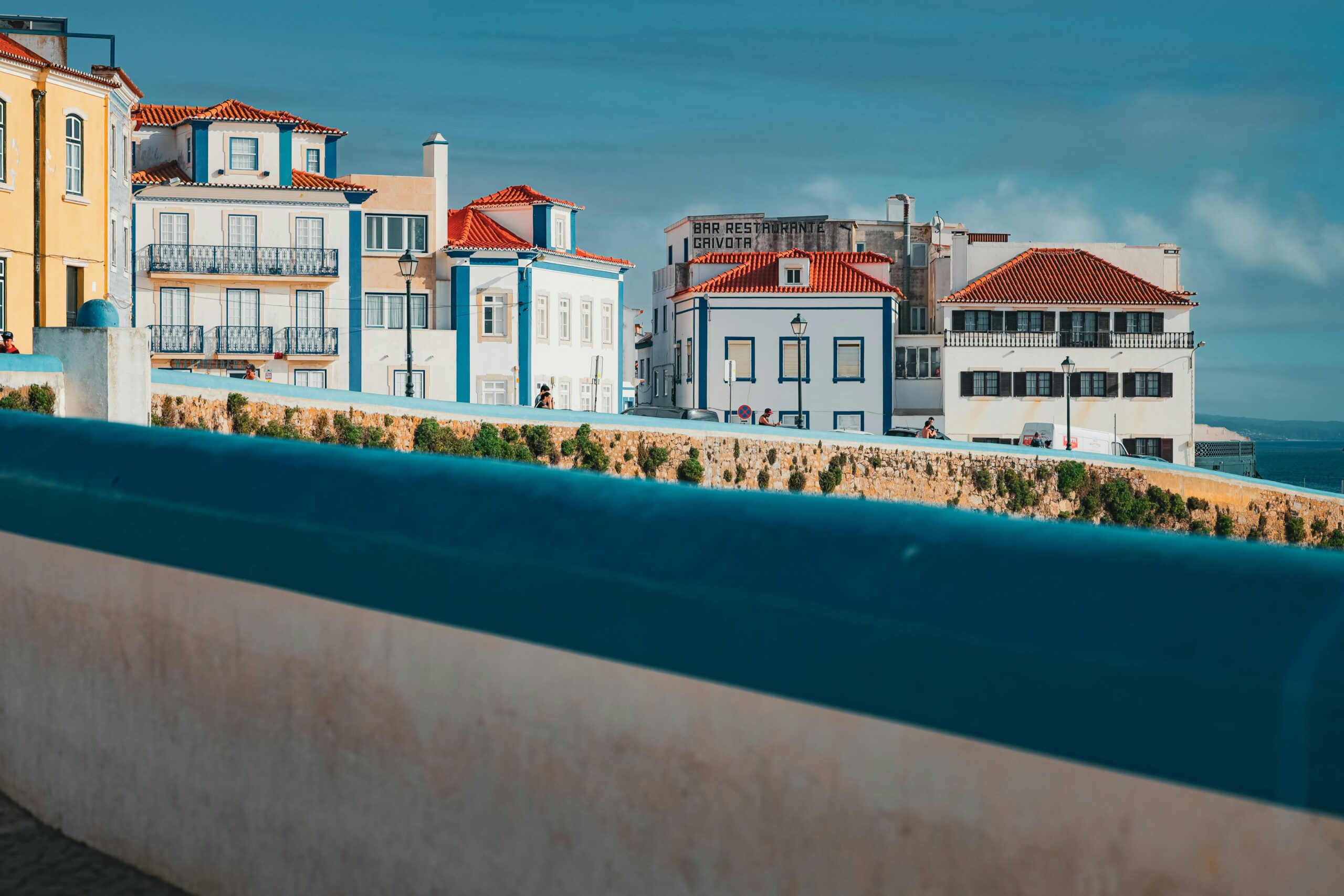 pexels brentsingletonphoto 36486513